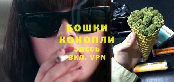стаф Нефтегорск