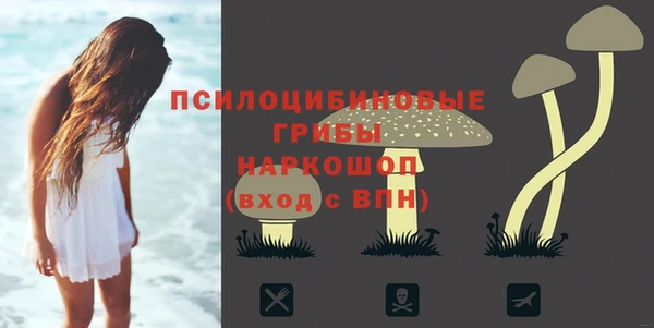 стаф Нефтегорск